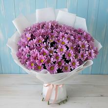 Букет цветов из:  Хризантемы #REPLACE_PRED# Подольске