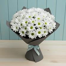 Букет белые хризантемы в Подольске Букет цветов из:  Хризантемы в Подольске